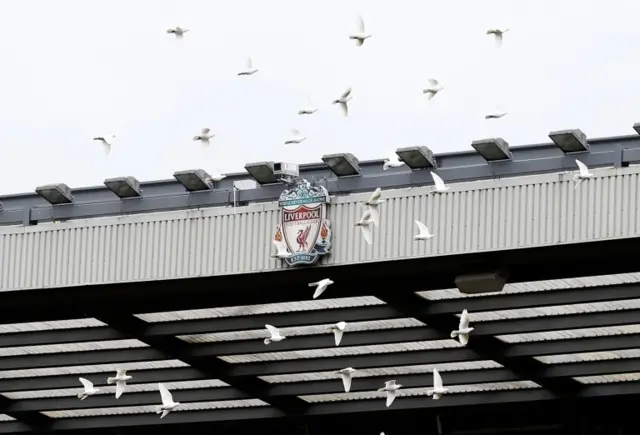 96 doves are released