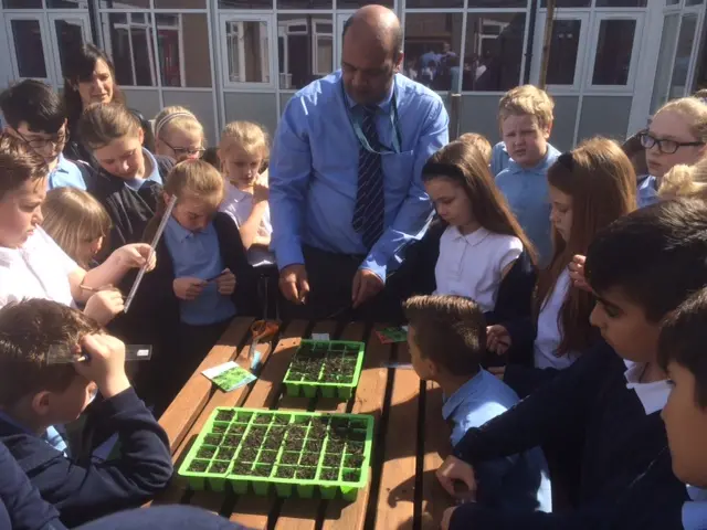 Pupils plant rocket seeds