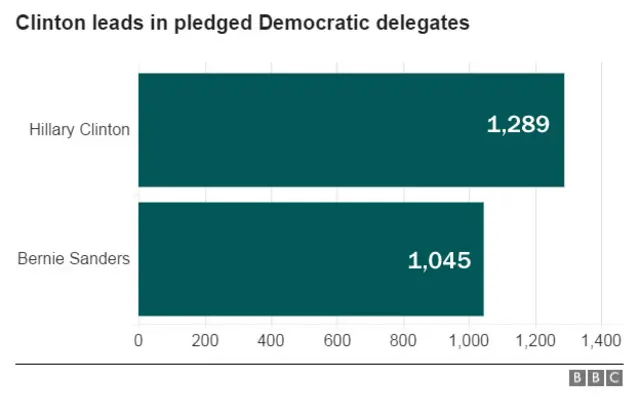 Democratic delegates