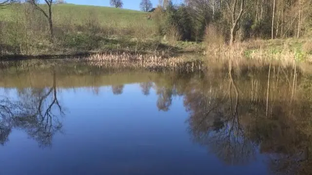 Lake in Burton-upon-Trent