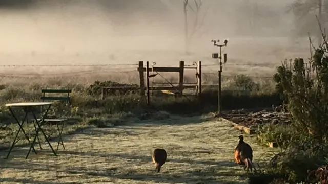 Scene from Needham this morning showing frost and mist