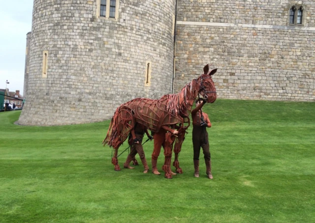 Warhorse in Windsor