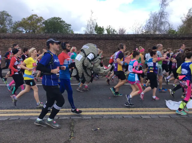 Rhino and friends in the mass race