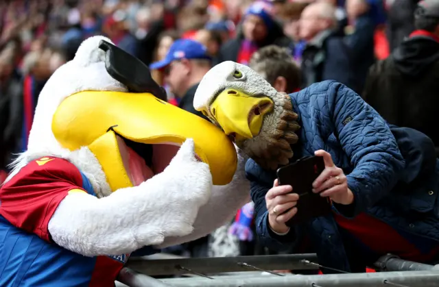 Crystal Palace mascot and fan