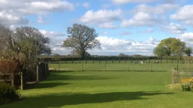 Fields in Sandbach