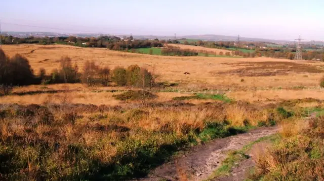 An expanse of heathland under cloudy skies