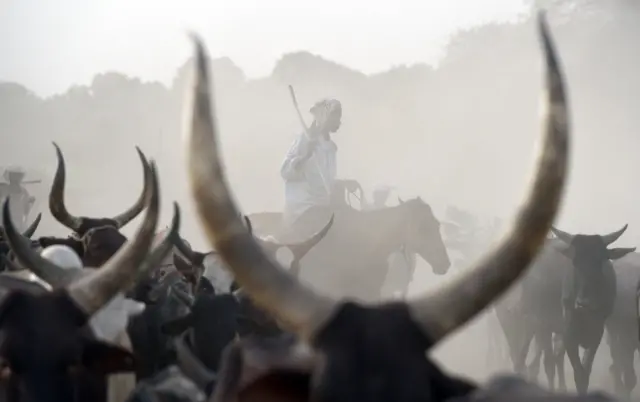 Cattle herders near Lake Chad