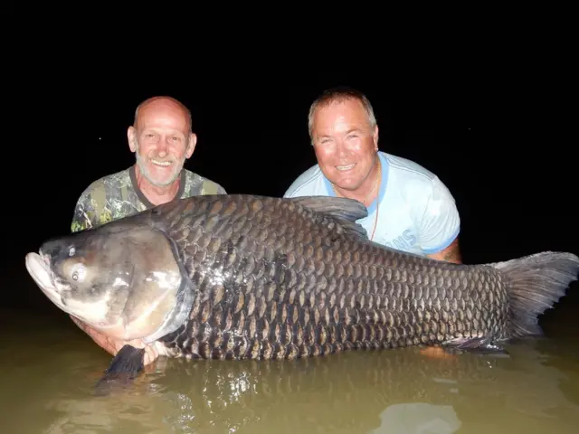 Men holding enormous fish