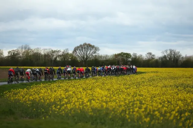 Peloton riding through a field