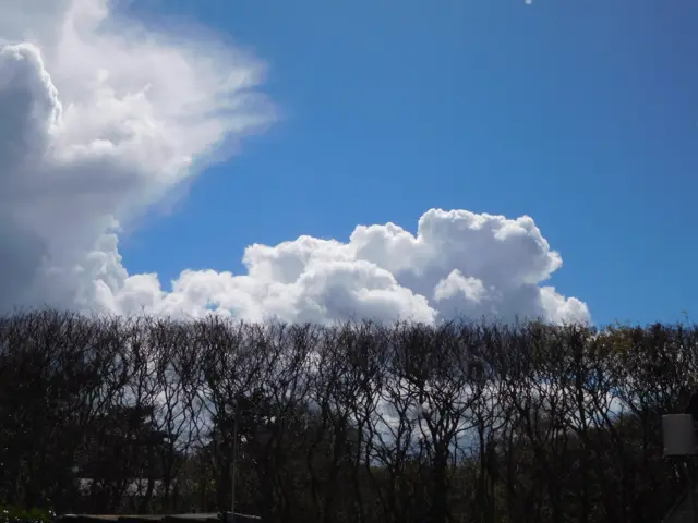 Blue sky, white clouds and silhouette of hedge