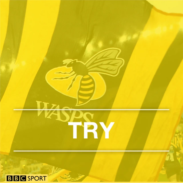 Wasps try