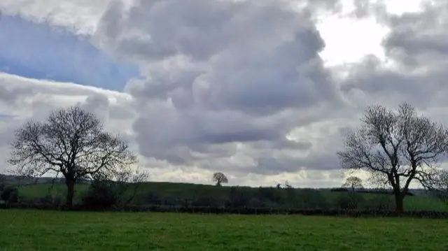 Field and trees in Ipstones