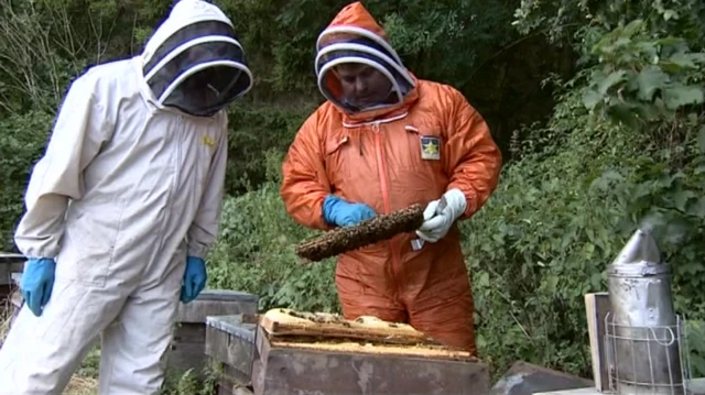 Beekeepers