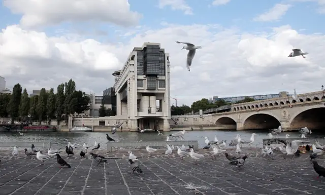 Seagulls fly next to the French ministry for Economy and Finance