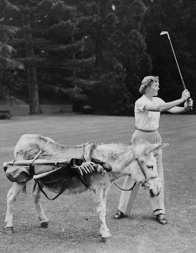 A lady golfer and a donkey caddie