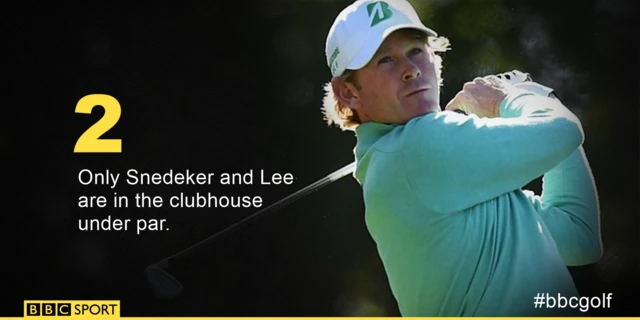 Brandt Snedeker