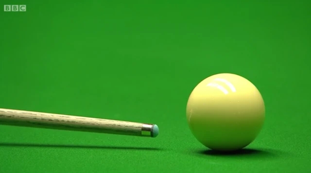 Mark Selby's cue