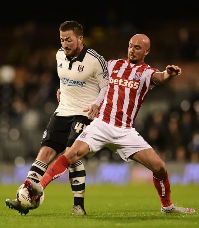 Stephen Ireland