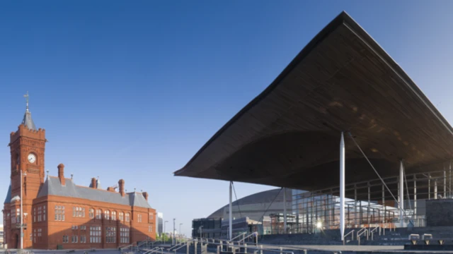 Y Senedd