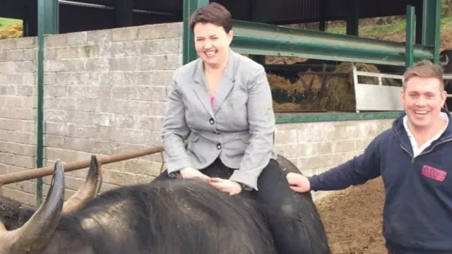 Scottish Conservative leader Ruth Davidson hitches a ride on a buffalo during the campaign