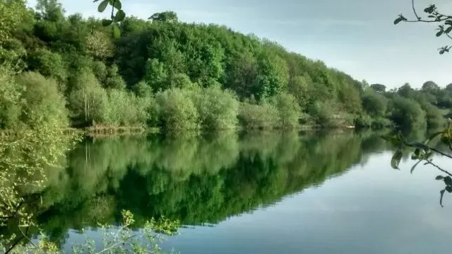 Lake and trees