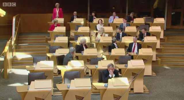 Elaine Smith stands in the chamber as Presiding Officer nomination is read out