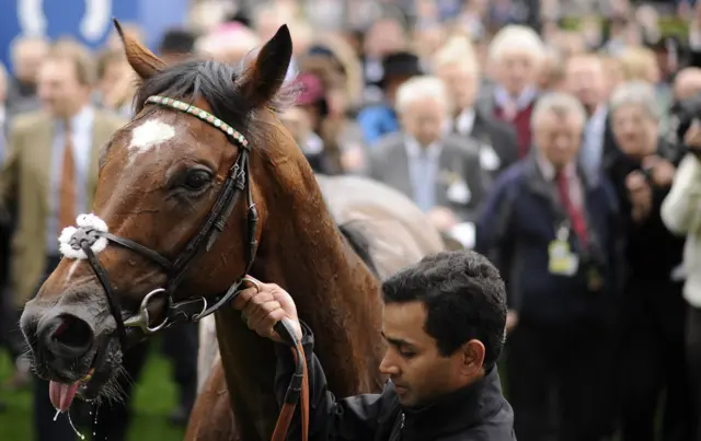 Frankel