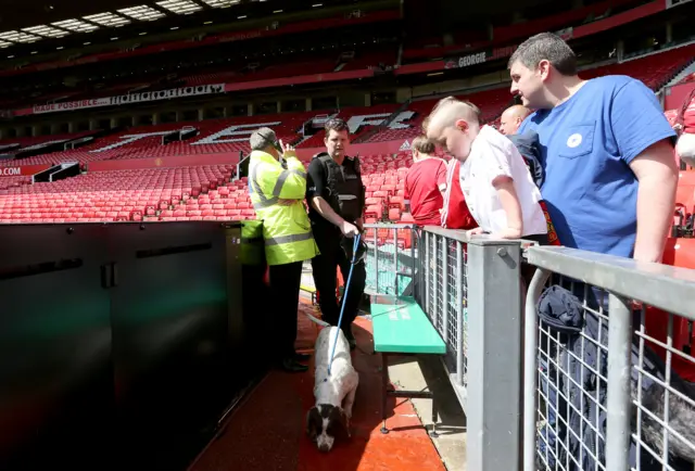 A sniffer dog