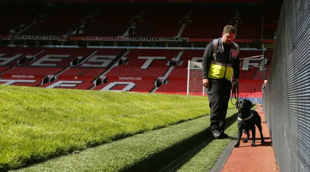 A sniffer dog at Old Trafford