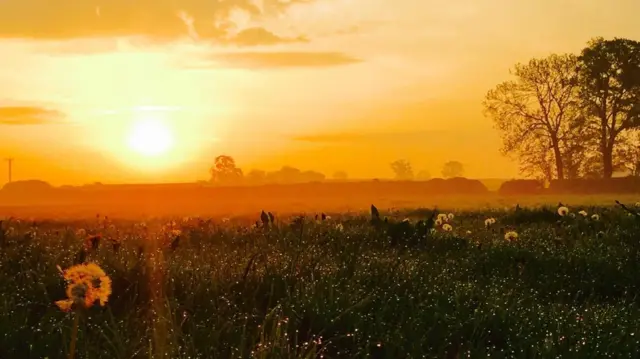 Gnosall sunset