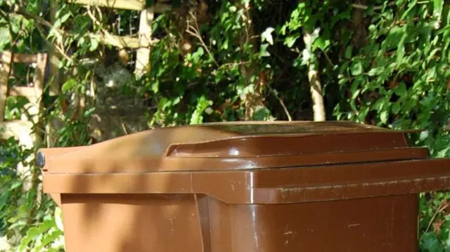 Brown waste bin