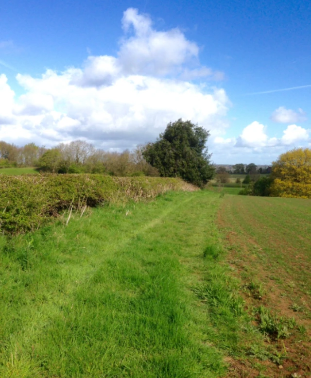 Dale Hill at Locko Park in Spondon is first all-natural burial ground in Derby