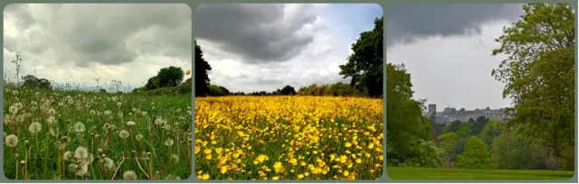 Weather watcher pics