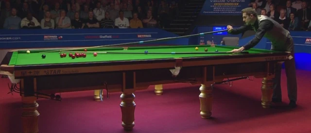 Mark Selby's cue