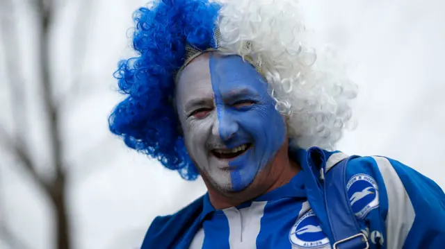 Brighton fan