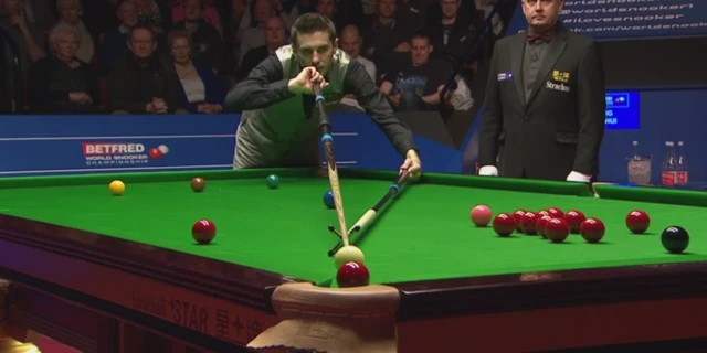 Mark Selby's cue