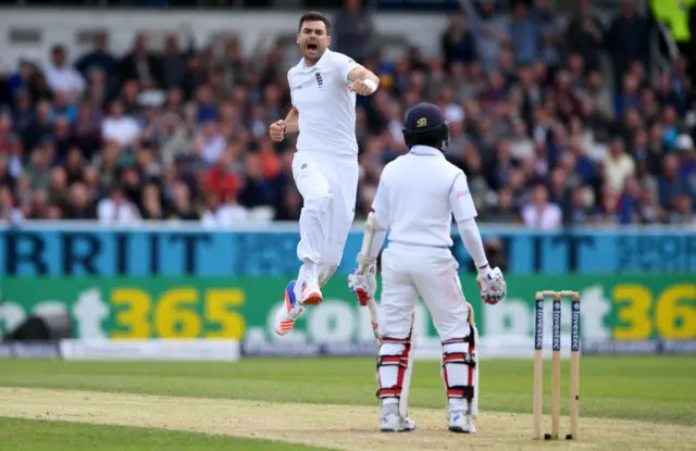 James Anderson celebrates