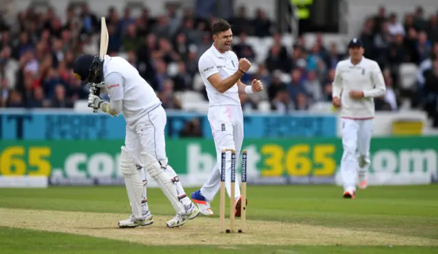 James Anderson celebrates