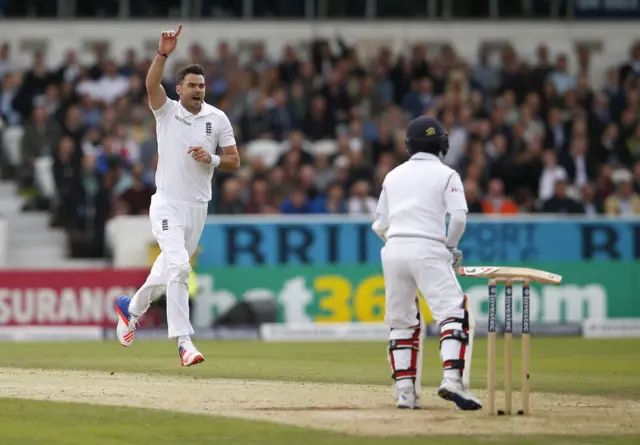 James Anderson celebrates