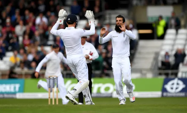 Moeen Ali celebrates