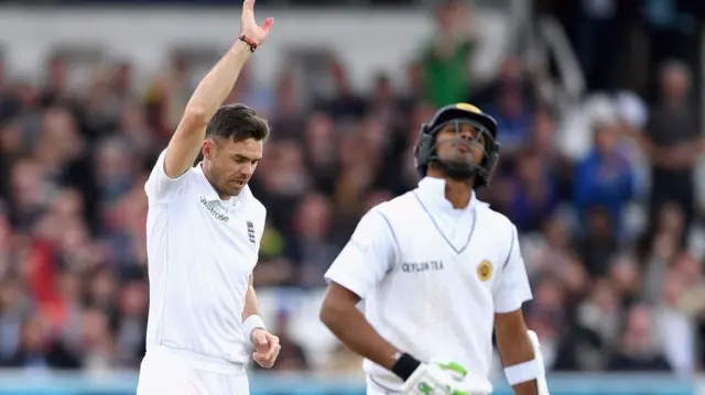 James Anderson celebrates