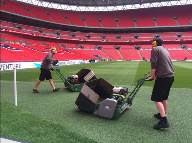 Wembley pitch