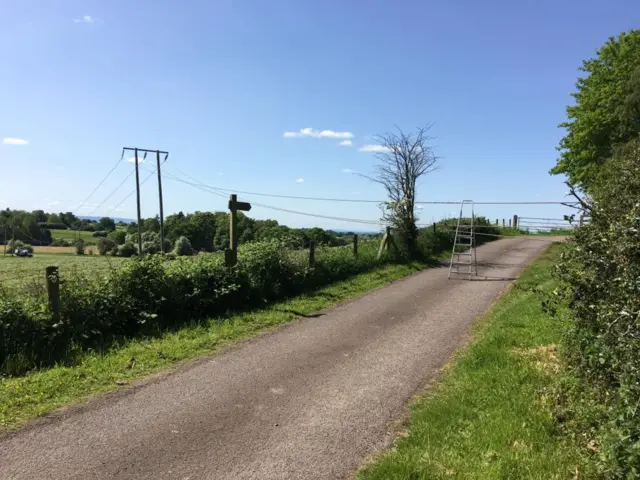 Fallen power line