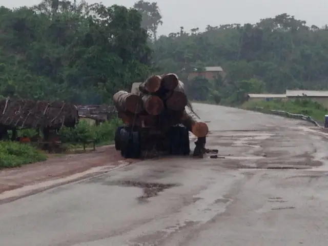 Lorry with logs falling off