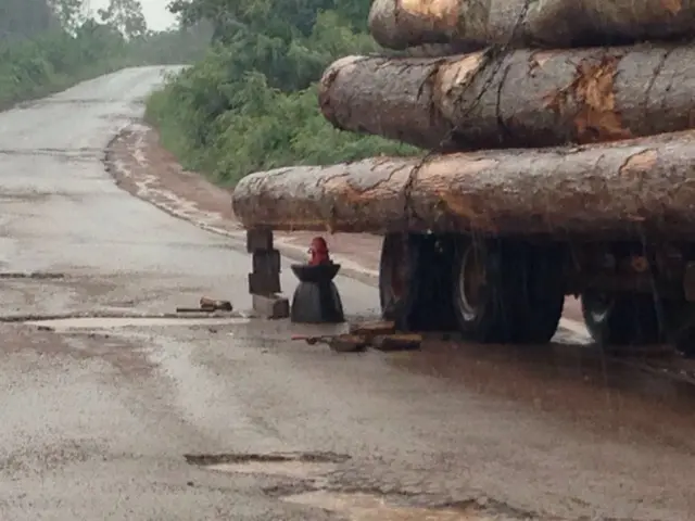 Lorry with logs falling off