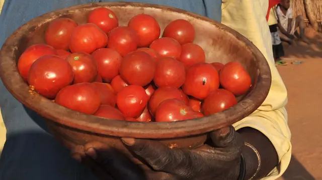 Bowl of tomatoes