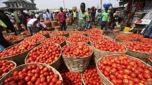 Baskets of tomatoes in a market in Lagos