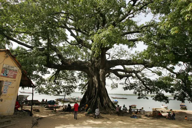 Villagers sit 08 November 2007 under a tree in Elinkine, nestled in the deep mangroves on the mouth of the Casamance River, in Senegal's southern province of the same name