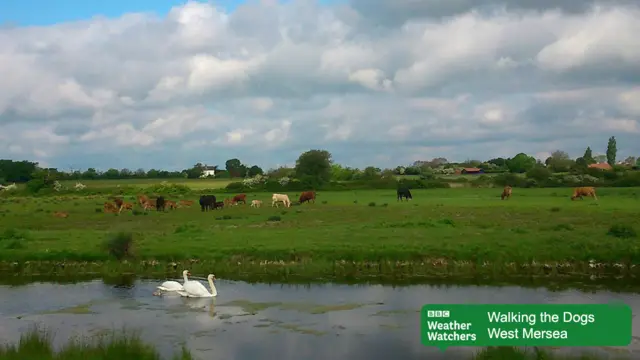Weather Watcher's view of West Mersea
