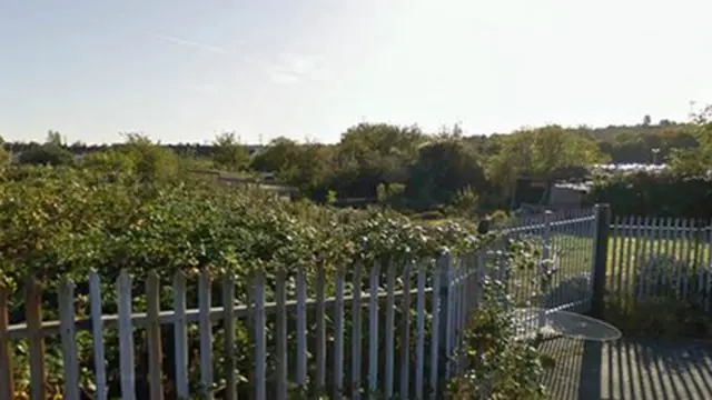 Farm Terrace allotments